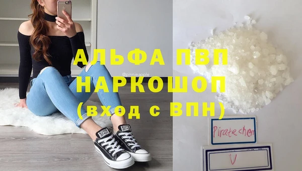 гашик Алексин