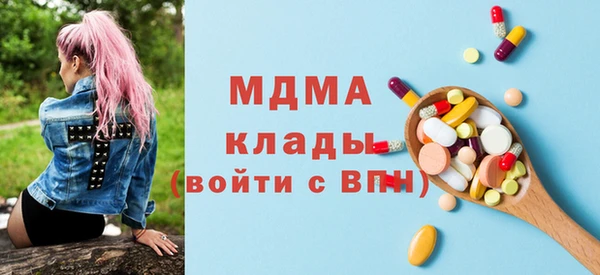 гашик Алексин