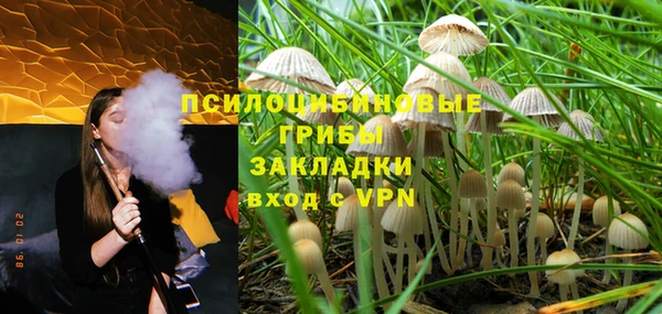 сатива Алексеевка