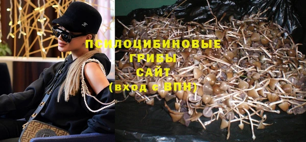 индика Алзамай