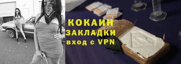 индика Алзамай