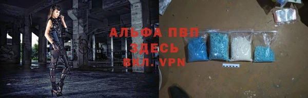 гашик Алексин
