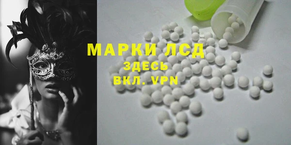 гашик Алексин