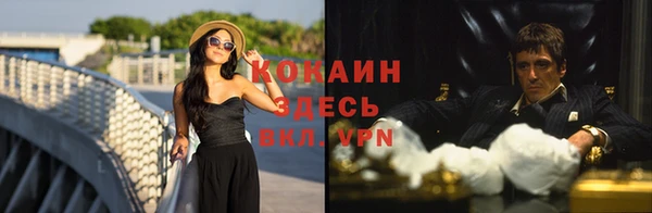 индика Алзамай