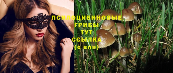 сатива Алексеевка