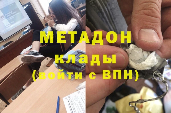 гашик Алексин