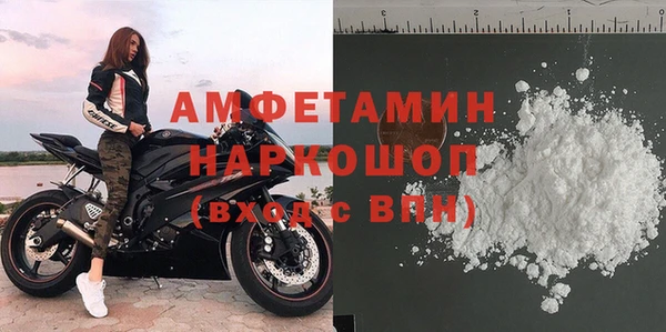 гашик Алексин