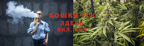 гашик Алексин