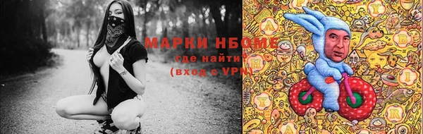 сатива Алексеевка