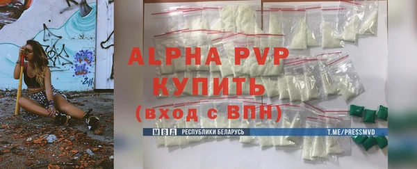 гашик Алексин