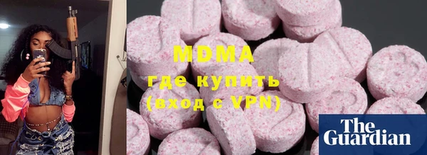 гашик Алексин