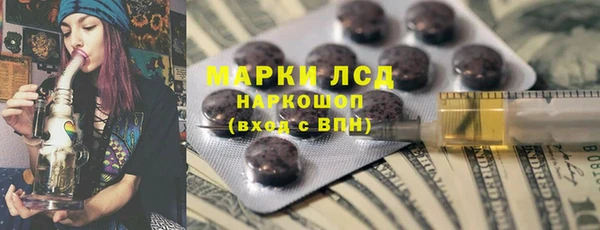 гашик Алексин