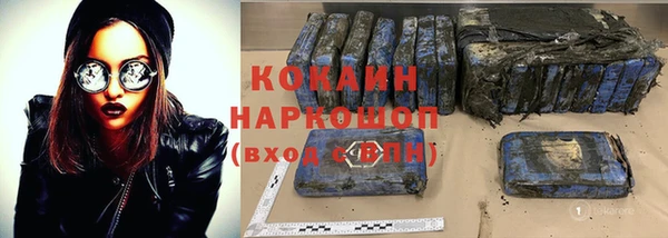 гашик Алексин