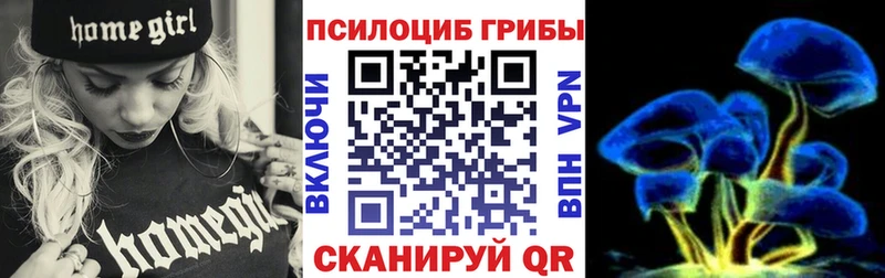 Галлюциногенные грибы Psilocybine cubensis  Шелехов 